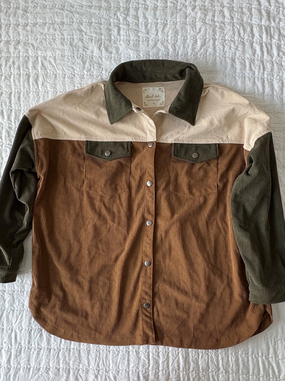 Altar'd State Brown/Olive/Cream Corduroy Colorblock Button-Up Shirt